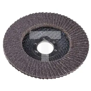 Lāpstiņu slīpmašīnas disks Expert+ 115 mm 120 graudainība plakans, 10 gab.