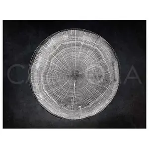 Vilde flat dinner plate 29 cm, gray, ceramic