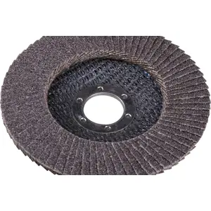 Flap Disc 115 mm, Grain 100, Flat, Expert+ (10 pcs)