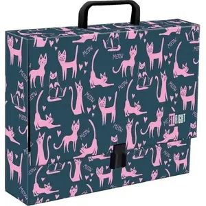 Document folder with handle A4 XL Derform — model Lazy Cats
