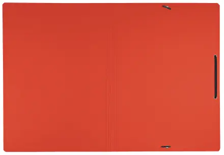 Leitz Recycle 39080025 A4 Card Folder Photo 4