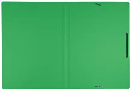 LEITZ Recycle 39080055 A4 Card Folder with Elastic Bands Photo 4