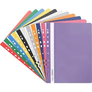 Plastic A4 Filing Folder with Perforation Biurfol SPP-02-03 — blue, pack of 20