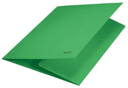 LEITZ Recycle Card 3‑Flap Folder A4 Photo 2