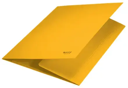 LEITZ Recycle Card 3-Flap Folder A4 Photo 2