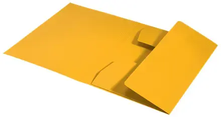 LEITZ Recycle Card 3-Flap Folder A4 Photo 3