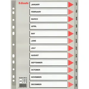 Folder/Display Book ESSELTE Vivida A4 with 20 Pockets (10K095B)