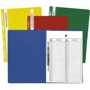 Hanging file folder Idest ST-23-02, green — for personal records, letter/legal size
