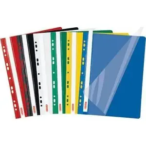 Ring Binder Folder ESSELTE A4 PP punched, 10 pockets, white