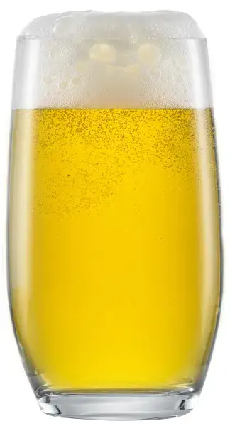 Beer tumbler SCHOTT ZWIESEL For You 0.3 L Photo 2