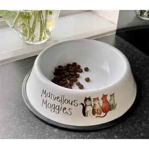 Cat bowl Verk model 5060108721134 — pet feeding dish