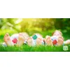 3D puzzle Iuvi Happy Cube Pro, 24 pcs Photo 7