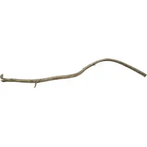 Terra Natura Ratanas sakne 20–40 cm — dabīgs dekors akvārijam/terarijam