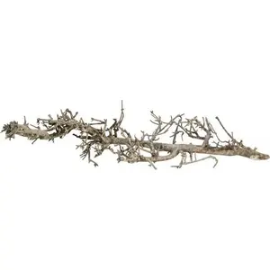 Akvārija koksne Terra Natura Korzeń Południowy S 15–25 cm