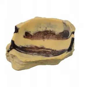Dekoratīva trauka terārijam Terra Natura TN-44564 — tuksneša stilā, 12 cm