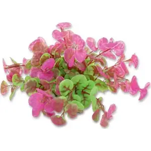 Искусственное аквариумное растение HAPPET ROŚLINA FOLIA 10 см, HAPPET