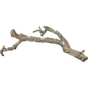 Zars, Terra Natura kora ozola zars 60 cm XL — dekorācija terārijam