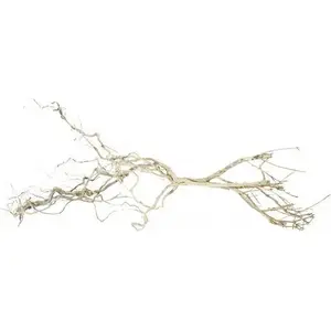 Koksnes sakne Terra Natura Korzeń Czardrzewo 15–20 cm — dabīgs dekors akvārijam/terarijam