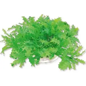 Аквариумное растение HAPPET ROŚLINA FOLIA 10 см от HAPPET — искусственное декоративное растение для аквариума
