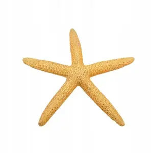 Aquarium Decoration Terra Natura Starfish yellow 11 cm – ornamental ornament for fish tanks