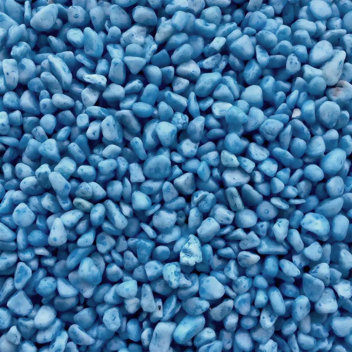 Aquarium Supplies