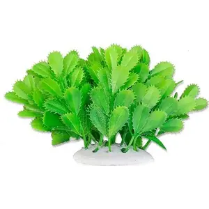 Аквариумное растение HAPPET ROŚLINA FOLIA 10 см — HAPPET декоративное водное растение, 1 шт.