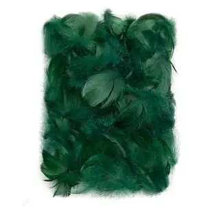 Dekoratīvie spalvas DP Craft CEPI-024, tumši zaļas, 5–12 cm, iepakojums