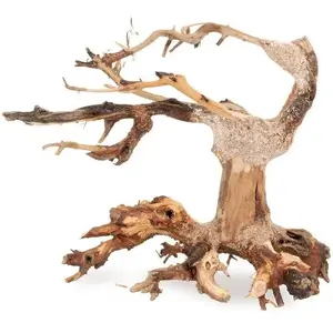 Prism Bonsaijs koka Tōnēce koks, modelis 24, dekoratīvs bonsai 20×15 cm