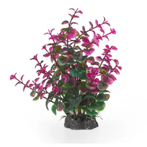 Akvārija augs Terra Natura Aqua Natura plastmasas dekoratīvais 20 cm zaļi-violets peperomia