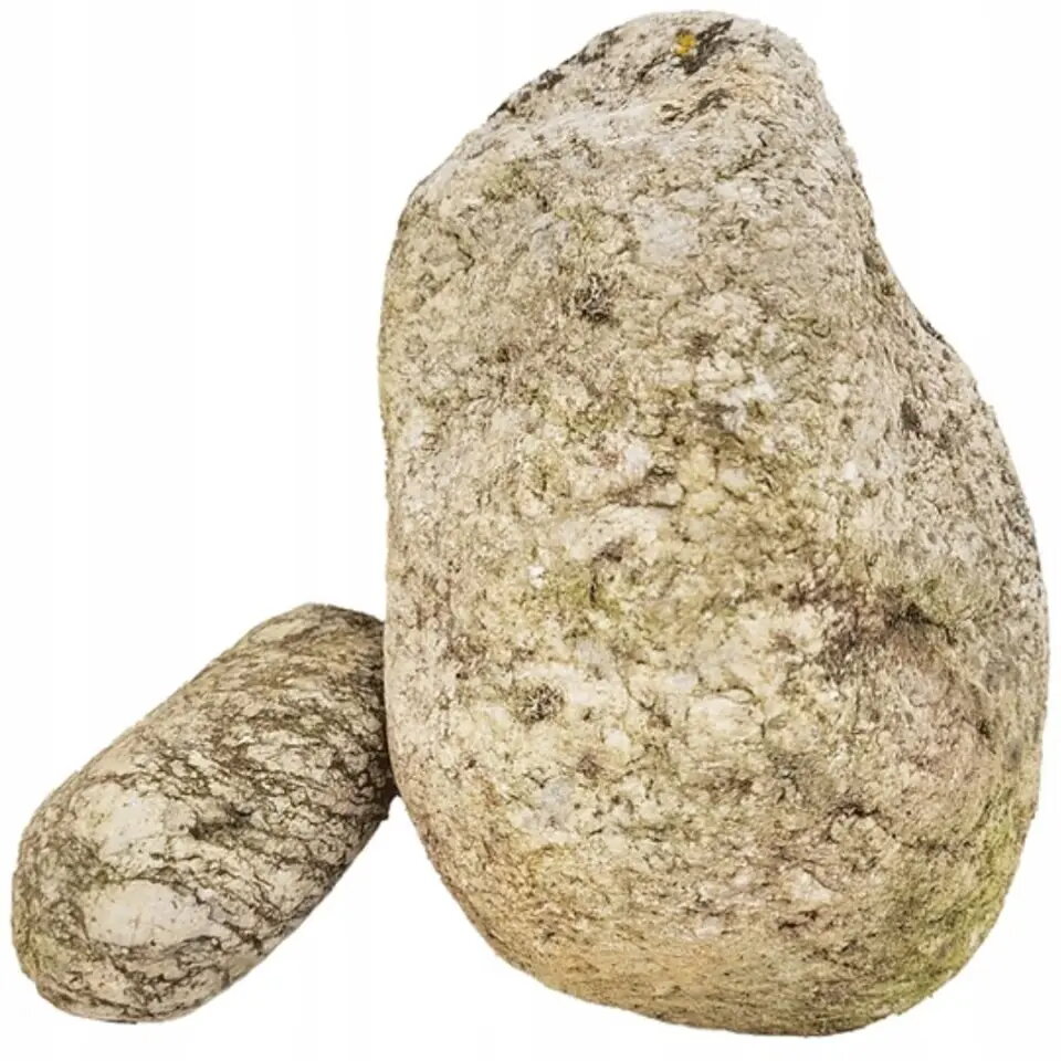 Viss akvārijam