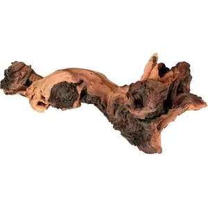 Akvārija dekors ZOLUX Natural sakne maupani L — dabīgs koka dekors akvārijam