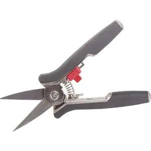 Pruning shears Proline 40009 — hand secateurs for cutting stems and branches, 1 pc