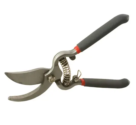 Pruning shears Proline 40012 Photo 2
