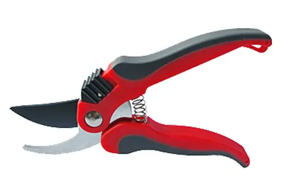 Pruning shears Proline 40011 Photo 2