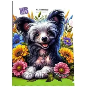 Plastic A4+ Document Sleeve Fresh with Pocket, Dog Print – transparent protective folder for papers