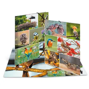Ring binder A4 TEKA HERMA 19345 — A4 format, multicolour, storage folder