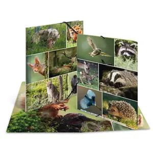 Ring binder TEKA model 573574 for A4 documents, multicolour cover