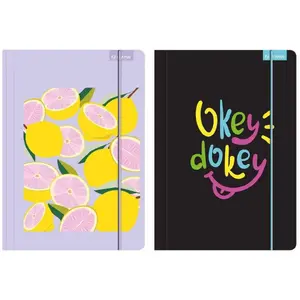 Folder with elastic band Beniamin Teczka A4 Priplak mix – A4 document holder, elastic closure