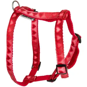 Pet harness Barry King Szelki Love Heart 16 mm, neck 20–50 cm, chest 40–60 cm, red with hearts