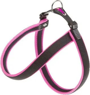 Pet Collars & Leashes