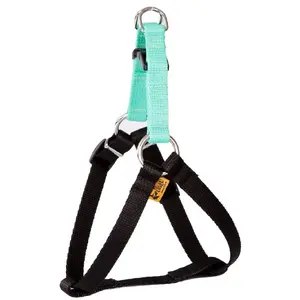 Dog Harness DINGO FRED adjustable webbing ENERGY mint size 40