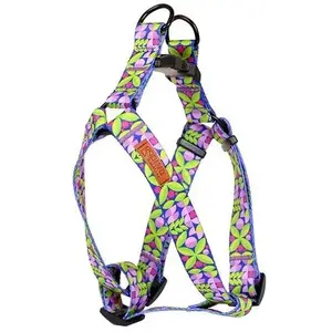 Dog harness DINO IVO adjustable 25 mm leaf pattern strap length 60–90 cm