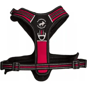 Harness All For Dogs 3x-Sport, size S, red — All For Dogs brand