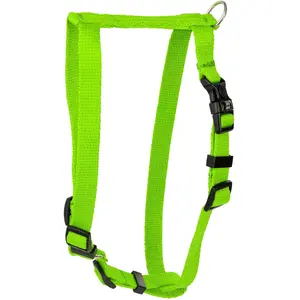 Dog harness Barry King Classic L-XL lime, adjustable 25 mm strap, 75–100 cm chest