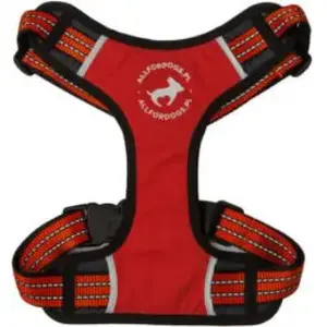 Dog Harness All For Dogs sport red size L (adjustable 70–125 cm)