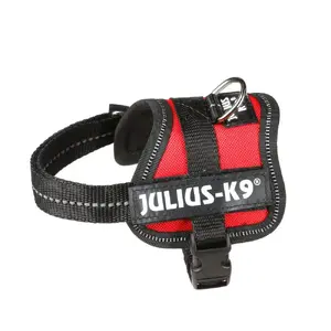 Жилет-ошейник Julius-K9 Powerharness XXXS, полиэстер чёрно-красный, объём груди 29–36 см