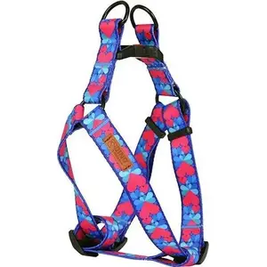 Dog harness DINO IVO adjustable 25 mm webbing hearts pattern length 60–90 cm