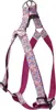 header-product