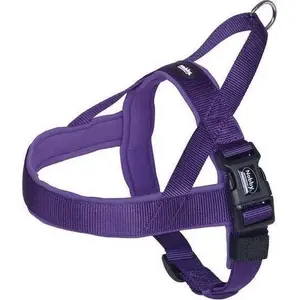 Nobby dog harness NOBBY CLASSIC PRENO L purple, size L 60–76 cm neck/chest 25/35 mm