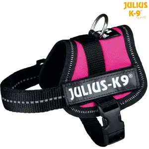 Harness Trixie Julius-K9 Baby XS – fuchsia, size Baby XS, adjustable dog harness
